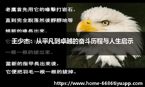 王少杰：从平凡到卓越的奋斗历程与人生启示